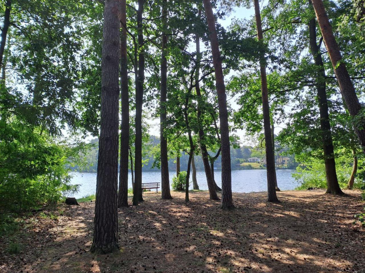 Ferienwohnung Gruenblick Heidesee Esterno foto